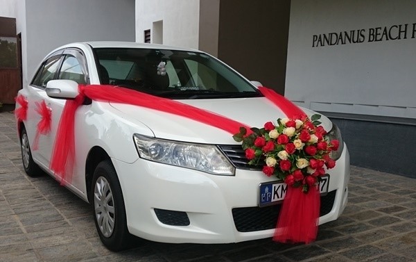 Car rental prices in Egypt أسعار تأجير السيارات في مصر بسائق أو بدون